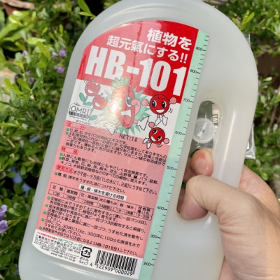 Chất tăng cường sinh trưởng thực vật HB-101 dùng cho cây cảnh bonsai - Chai 1 lít
