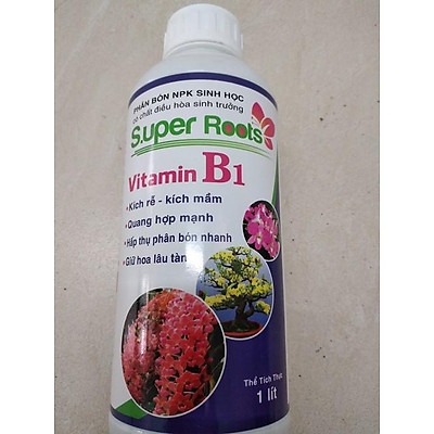 Chế phẩm Vitamin B1 Super Roots - kích rễ bật mầm - Chai 1 lít