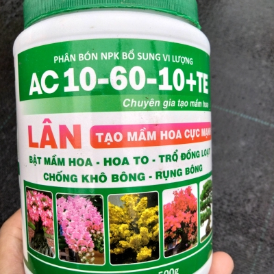 Phân bón lá AC 10-60-10 + TE chuyên gia tạo mầm hoa - 500g