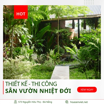 Thiết Kế & Thi Công Sân Vườn Nhiệt Đới Trọn Gói