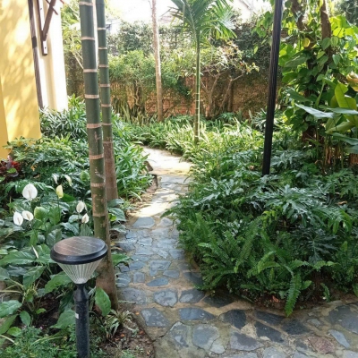 5 Sai Lầm Thường Gặp Khi Chăm Sóc Sân Vườn Và Cách Khắc Phục