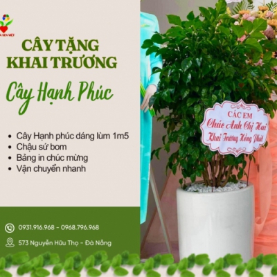 Cho thuê cây Đà Nẵng