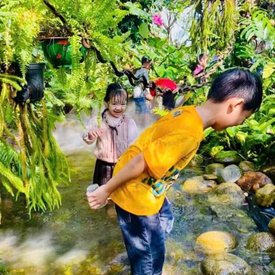  Quy Trình Thi Công Hồ Cá Koi Đạt Chuẩn Tại Đà Nẵng | Hoa Sen Việt