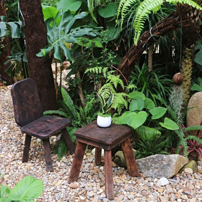 Mua Bán Cá Koi Tại Đà Nẵng – Địa Chỉ Uy Tín, Chất Lượng, Giá Tốt
