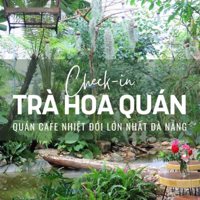 Mua Bán Cá Koi Tại Đà Nẵng – Địa Chỉ Uy Tín, Chất Lượng, Giá Tốt