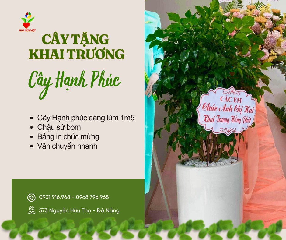 Cây Hạnh Phúc Tặng Khai Trương