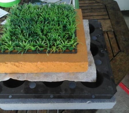 Chống thấm tại Đà Nẵng- Phương pháp chống thấm hiệu quả và trồng cây trên sân thượng