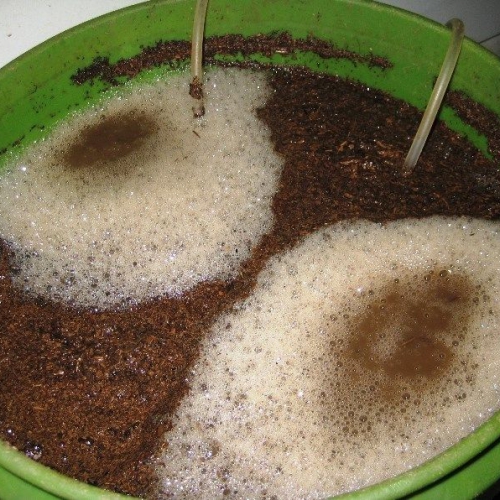 Dịch trùn quế hữu cơ - 500ml