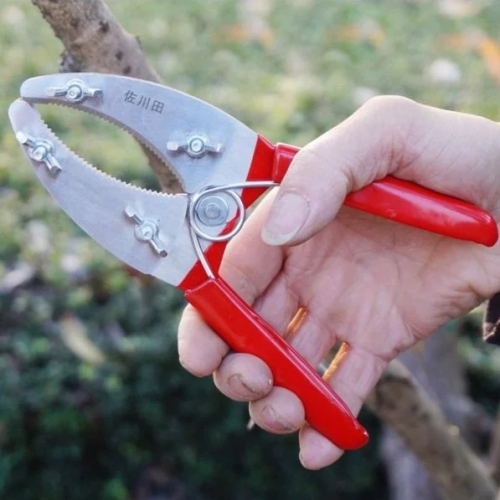 Kéo khoanh vỏ chiết cành kép lưỡi răng cưa điều chỉnh