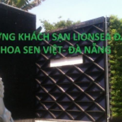 Vườn tường bên bờ biển