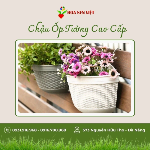 Chậu ốp tường cao cấp trồng cây, trồng hoa 