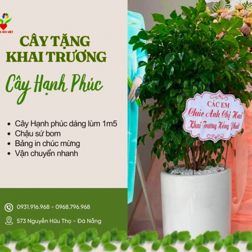Cây Hạnh Phúc Tặng Khai Trương