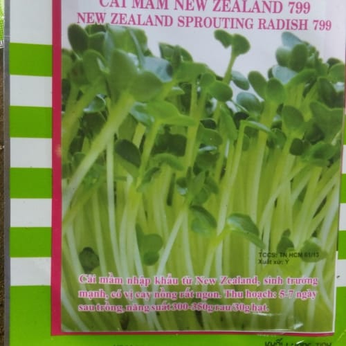Hạt giống cải mầm New Zealand