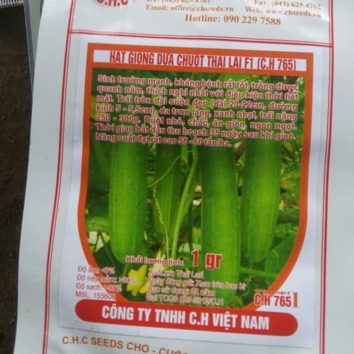 Hạt giống dưa chuột Thái Lan