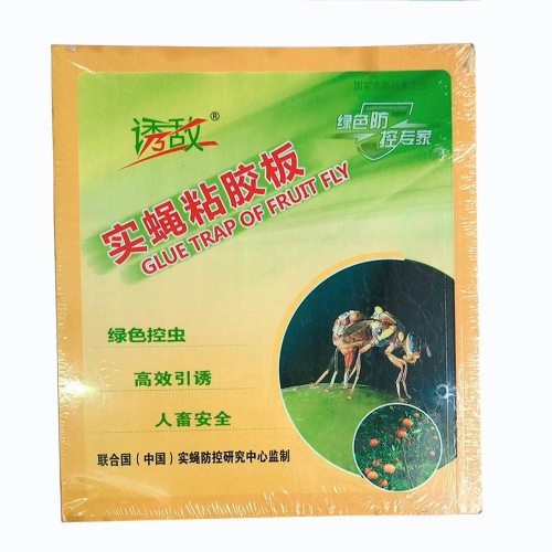 Miếng dán bẫy ruồi vàng, côn trùng - 20x40cm