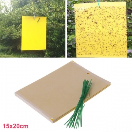 Miếng dán treo bẫy ruồi côn trùng - 15x20cm