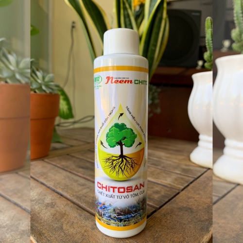 Hoạt chất sinh học trừ nhện đỏ và bọ trĩ trên cây hoa hồng Neem Chito - Chai 150ml