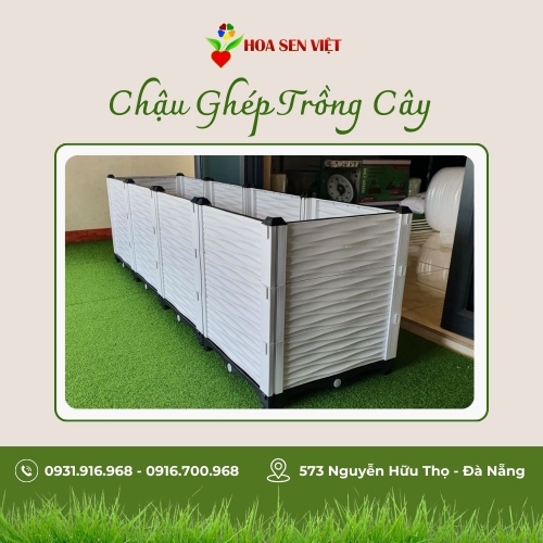 Chậu Ghép 150*50*39cm