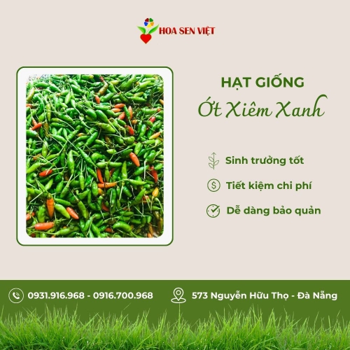 Hạt giống ớt xiêm xanh