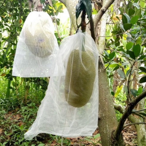 Bao lưới mùng caro túi rút - 50x66cm