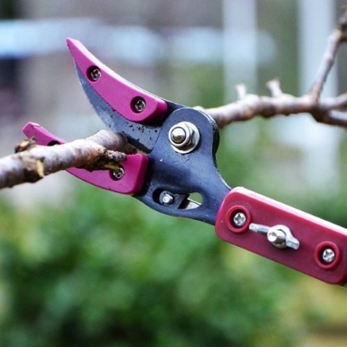 Kéo cắt cành hái quả trên cao 4m kẹp nhựa