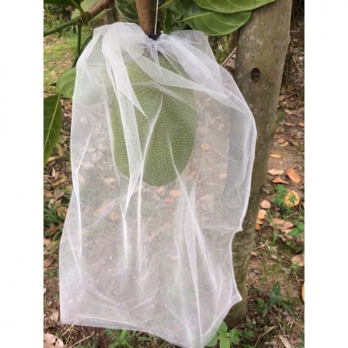 Bao lưới mùng caro túi rút - 20x20cm