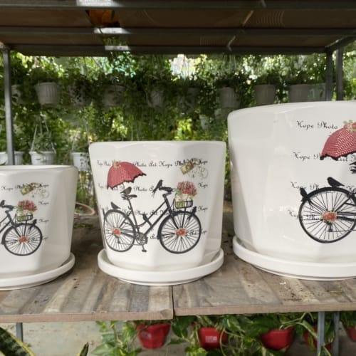 Chậu trồng cây để bàn hình xe đạp mã DB-3-40k