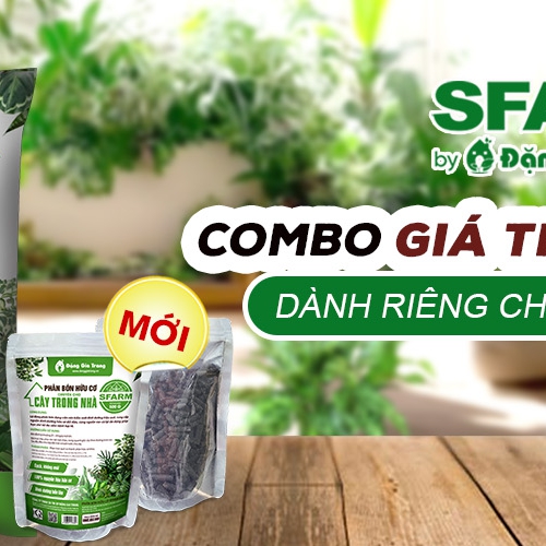Combo giá thể - phân bón Sfarm cho cây trong nhà