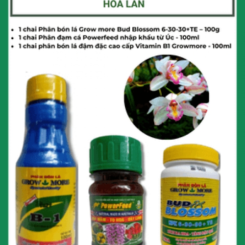 Combo dinh dưỡng kích thích ra hoa cho lan