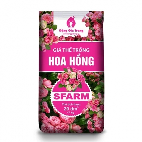 Combo chăm sóc cho cây hoa hồng