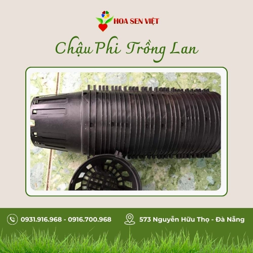 Bộ 50 chậu phi 14 nhựa đen trồng lan