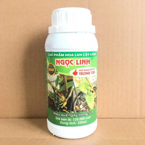 Chế phẩm Ngọc Linh đặc trị thối nhũn 12h - Chai 250ml