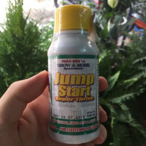Phân bón lá Growmore Jump Start giúp chồi lá khỏe - 100ml