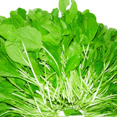 Hạt giống Cải ăn non Nhật