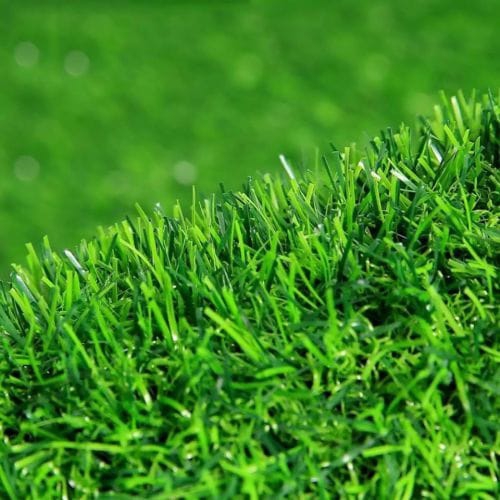 Cỏ nhân tạo Đà Nẵng 2cm đế mỏng