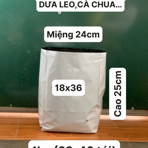 Túi nylon trồng cây đục lỗ 1kg - 18x36cm