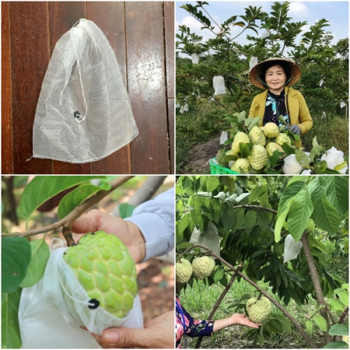 Bao lưới mùng caro túi rút - 18x20cm