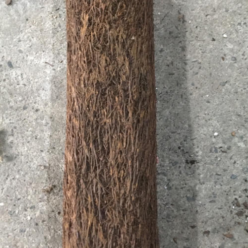 Dớn trụ tròn trồng lan