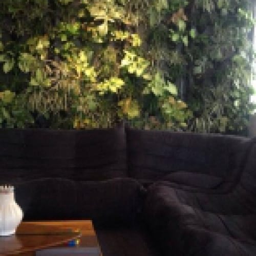 Vườn nội thất