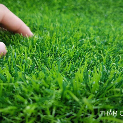 Cỏ nhân tạo - Cung cấp cỏ nhân tạo Đà Nẵng