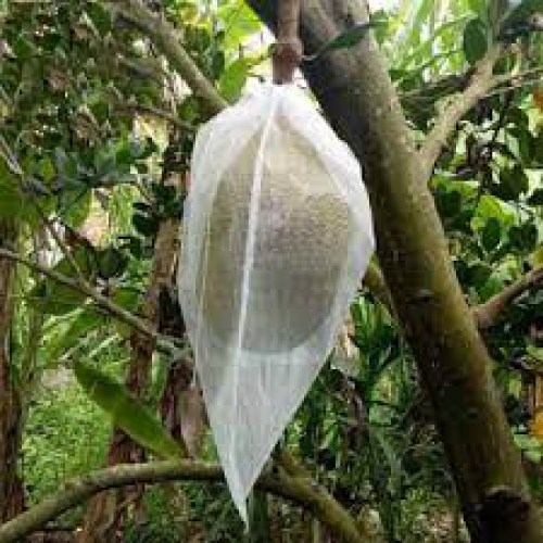 Bao lưới mùng caro túi rút - 40x50cm