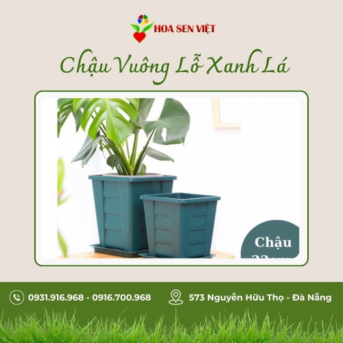 Chậu Vuông Lỗ Xanh Lá Nhỏ (22*23.5)