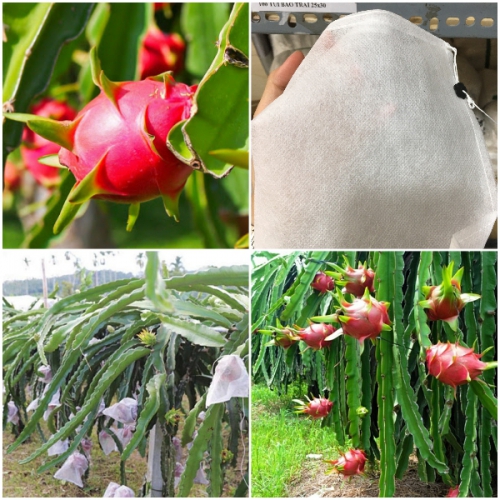 Bao lưới mùng caro túi rút - 25x30cm