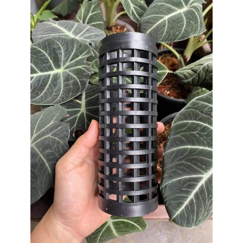 Trụ nhựa trồng kiểng lá và cây leo