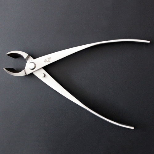 Kìm cạp xéo trắng bonsai Mstwa