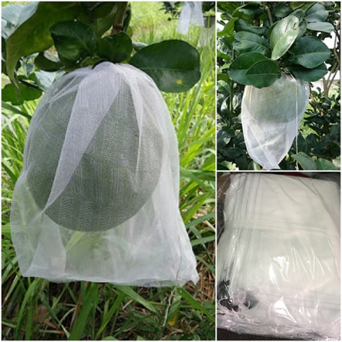 Túi bao quả dây rút - 30x30cm