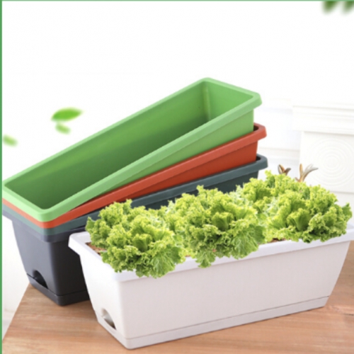 Chậu Chữ Nhật Có Đĩa Lót (49*15*17.5)