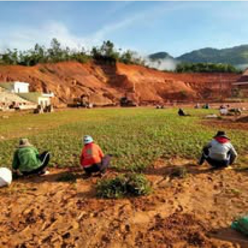 Cách gieo hạt giống đúng kỹ thuật – Tỷ lệ nảy mầm cao, cây khỏe mạnh