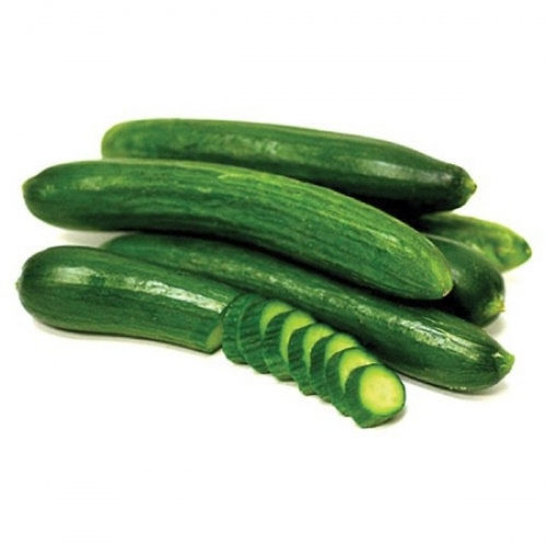 Hạt giống Dưa leo F1 - Okame