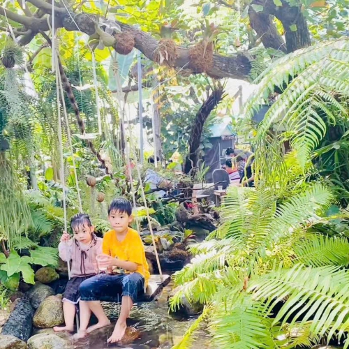 Mua Bán Cá Koi Tại Đà Nẵng – Địa Chỉ Uy Tín, Chất Lượng, Giá Tốt